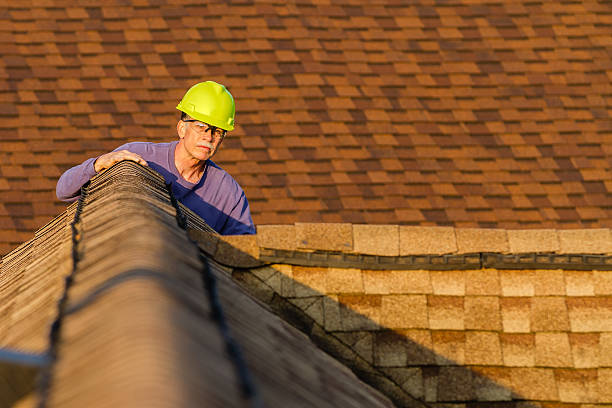 Best Storm Damage Roof Repair  in Jackson Center, OH